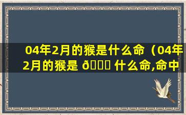 04年2月的猴是什么命（04年2月的猴是 🐟 什么命,命中 ☘ 缺什么）